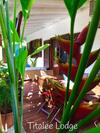 Titalee Lodge
