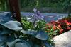 Hostal G�stehaus Pfisterer
