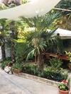 Apartamento Palmera