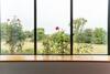 Villa Ohoka Country Retreat