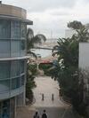 Ocean Village Apartment