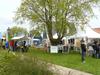 Villa Recreatiepark Wiringherlant2