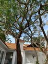 Villa Casa Blanca, Buzios