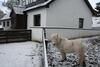 Agroturismo Highgarry Cottage
