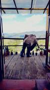 Caba�a Mirador, Las Acacias de Teli