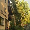 Apartamento Zimorodek