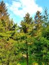 Apartamento Willa G�ralka