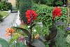 Apartament Kameralny