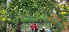 Kuttickattil Gardens With Kitchen