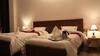 Hotel Himalayan Retreat Karzoo