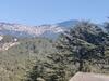 Shimla Hills Apartments 2bhk