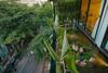 Apartamento Lotushomestayhanoi - Pagoda View 1