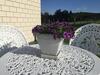 Hostal Veld View Bed And Breakfast