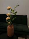 Breezy Apartament