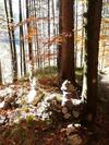 Hostal Lunzferien