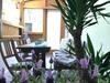 Ferienhaus Gro�alber