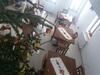 Agroturismo Maramures Belvedere