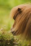 Bed & Breakfast La Douce France