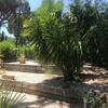 Saint Tropez -parc Oasis
