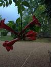 Bed & Breakfast Ancien Presbyt�re