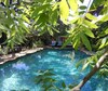 Bed & Breakfast Park Lane Guest House