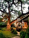 Bed & Breakfast Park Lane Guest House