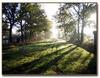 Bed & Breakfast Chambre D'h�te de L'�levage Du Lattay