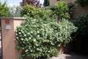 Apartamento Casa Angolo Delle Rose