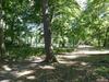 Apartamento Ferienwohnung Mit Brockenblick