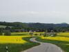 Hostal "ottendorfer H�tte" - Bergwirtschaft