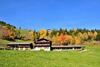 Bed & Breakfast Wegscheiderhof