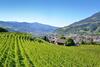 Apartamento Appartements Mayrhof
