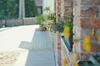 Hostal Vincze Vad�sz Vend�gh�z