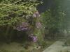 Hostal Hospedaria V� Schutz 2