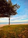 Apartamento Em Itapu�- Vv