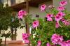 Bed & Breakfast 'l Ramassin