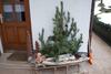 Apartamento Haus Ellerbeck