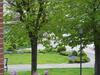 Apartamento Ferienwohnung _ Ferienzimmer Levsen