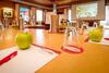 Steig-alm Hotel Superior
