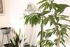 Apartamento Flower House Chania