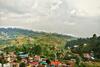 Kodai Jewel Box Homestay