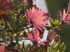 Villa Astha Homestay - Feeling Homely