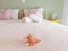 Apartamento 1 Min. To Sandy Beach, Calm, Spacious, Central Apt.