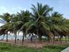 Quarto Privado C/banheiro A 1 Min A P� Da Praia.