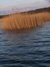 Domki Holenderskie Mazury Leleszki
