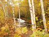Club De Chasse Et P�che Tadoussac