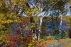 Club De Chasse Et P�che Tadoussac