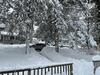 2 Bedroom Cozy Getaway W On-site Parking