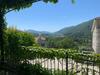 Villa Vera