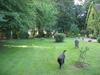Bed & Breakfast Logis De La Paqueraie